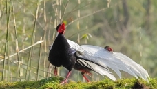 ����֮���ø���