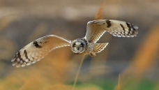 ����Ŀ��