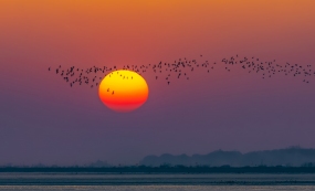 ��������׷̫��