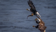 ����ʱ��