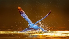 ����ϵĽ���