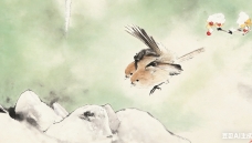 ף���й��������Ű����鿪��