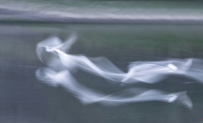 ����ͷ��������ĳ��