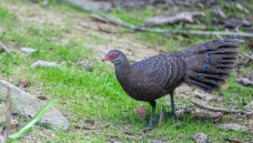 ���Ͽ�ȸ��