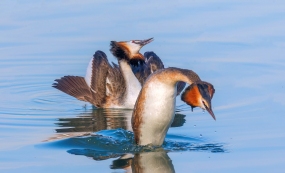 ���fˮ��֮�ϵ�������Լ