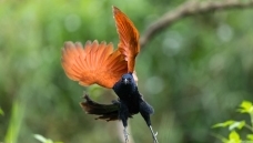 ���ֳ��ž顷