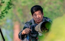 �䱾����  :�����������