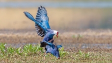 ����ʱ��