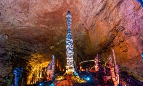 �żҽ���������