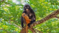 �۾�����