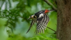 �������ľ��