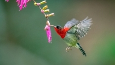 ��ͣ����