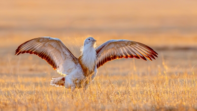 ����ɵ��񡪡����