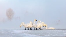 ��������