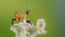 �������