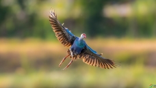 �������