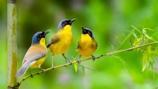 �������