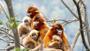 ���еĴ���˿��