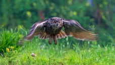 �������