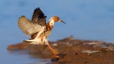 ����----������