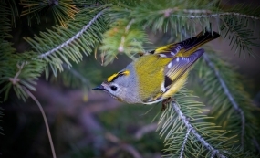 �������顪������