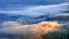 ��ľ����