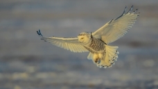 ��Ϭ����Ŀ�⡷