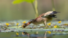 �������֮�ư�έ�Z