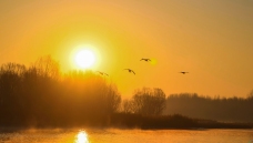 2026��������ĵ�һ������