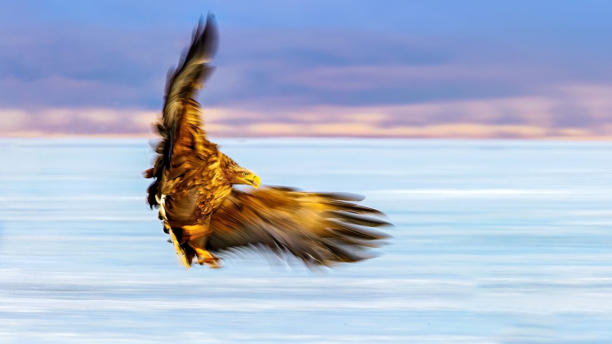 ��β����