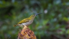 ����ɽ�е��Ʊ�������