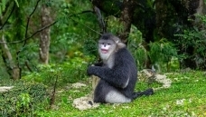 ׼������