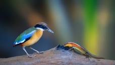 �������