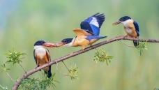 �������󵽡���ף���ٻ����������