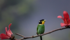 ��β������