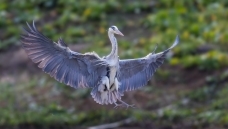 ���ؽ���