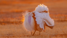 һ���˵���̨