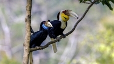 �������Ϭ��