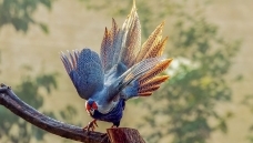 չ����βһһ����