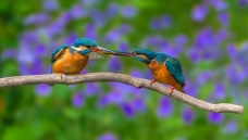 ���ķ���