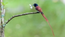 �ٴ�Ϸ��