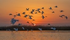 ��ϼȾ���衷-----��������