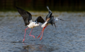 �������ߵĴ��տ���