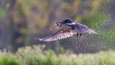 ���~�����~