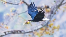 �����еĻ��ھ���