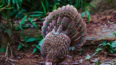 Ӻ�ݻ���--��ȸ��