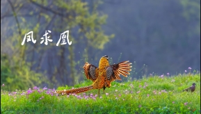 �����