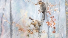 ����һ��