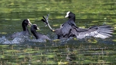 һ�򵱹����Ī��