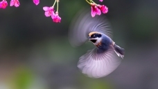 �ȶ��Ĵ���